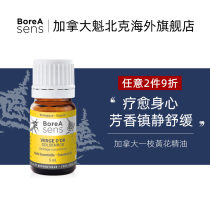 Canadian BoreA Sens a yellow flower of aroma fragrance extends the home bedroom skin care detoxification