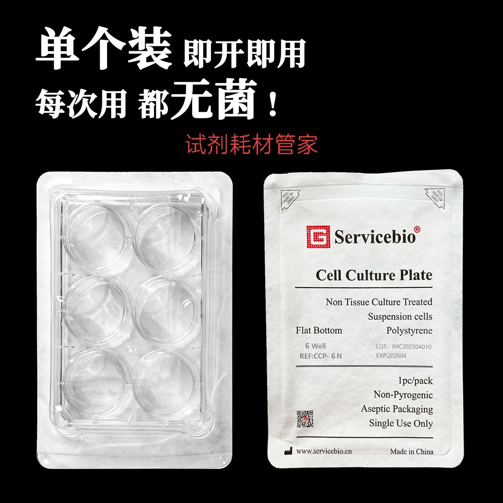 细胞培养板（6孔板，未TC处理，单片装）无菌 用于悬浮细胞的培养