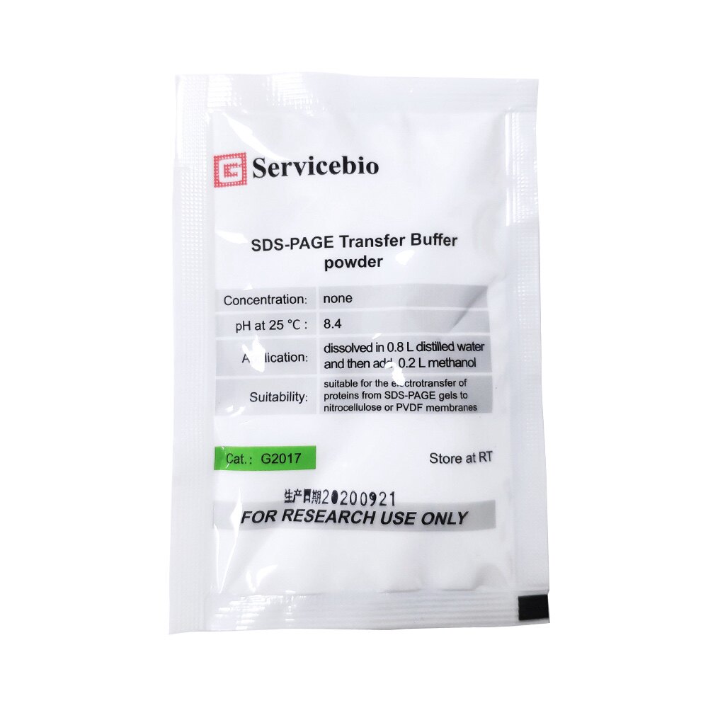Servicebio PAGE转膜缓冲液干粉 1L SDS-PAGE适用WB湿法转膜pH8.4