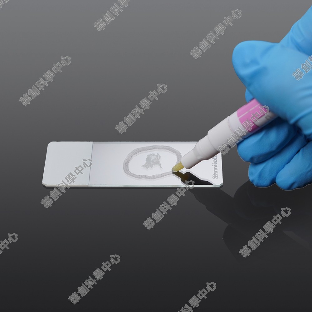 索来宝免疫组化笔Super PAP Pen适用防脱玻片画圈 免疫组化IHC/IF