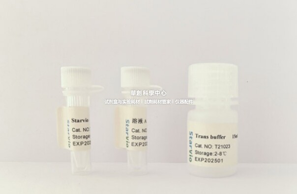 Starvio DNA&amp;siRNA转染试剂盒 高效转染多形式核酸高效转染试剂盒