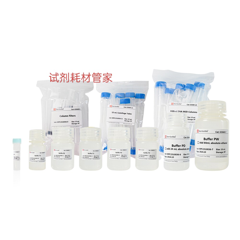 质粒DNA中提试剂盒 柱式法 从少量菌液提取高纯度质粒DNA纯化10T