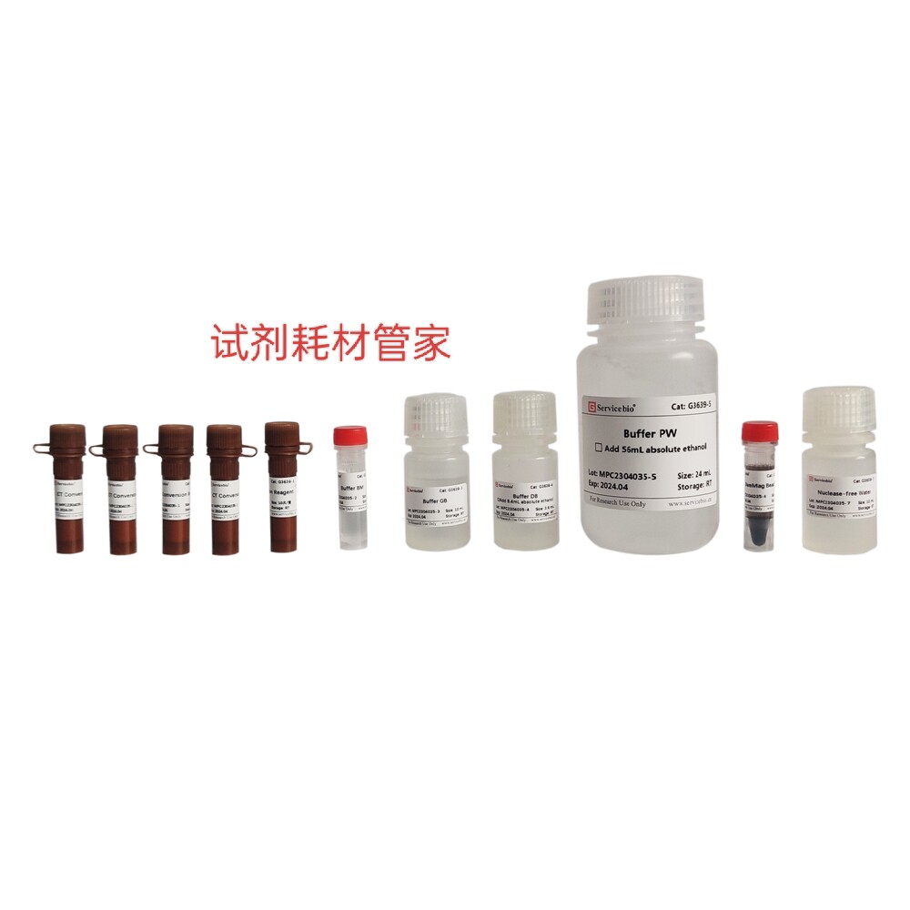 DNA亚硫酸氢盐转化试剂盒 磁珠脱硫技术甲基化胞嘧啶转化为尿嘧啶