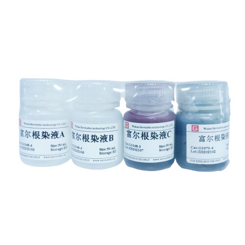 Servicebio核酸染液 富尔根染液 核DNA呈紫红色 细胞质等呈淡绿色
