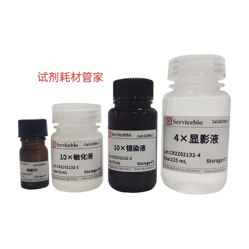 蛋白银染试剂盒 用于SDS-PAGE或PAGE聚丙烯酰胺凝胶中低蛋白质检