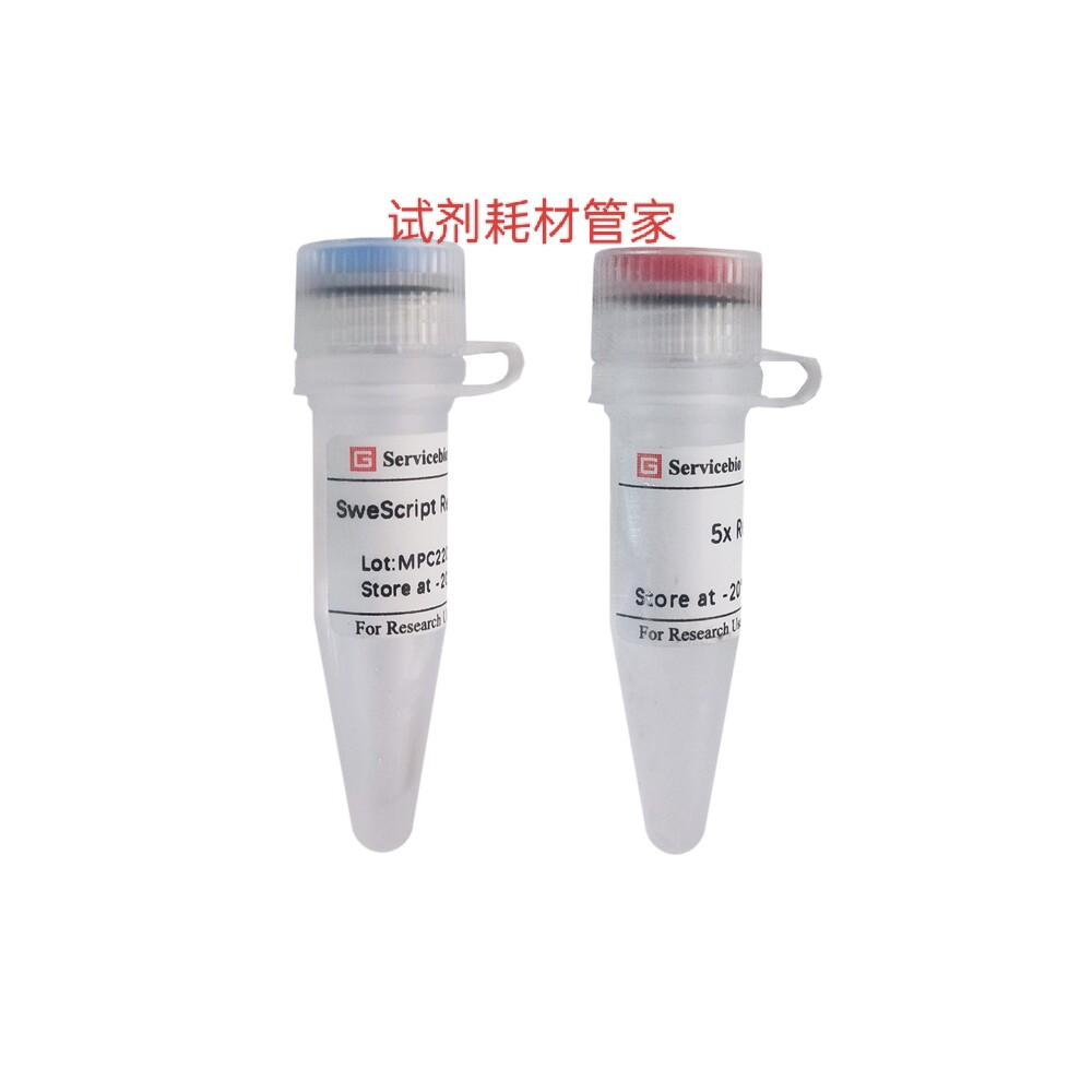 SweScript Reverse Transcriptase II,SweScript逆转录酶II,10 KU