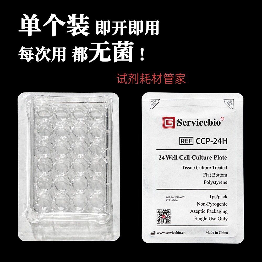 细胞培养板(24孔板/TC处理/单片装)用于贴壁细胞和半贴壁细胞培养