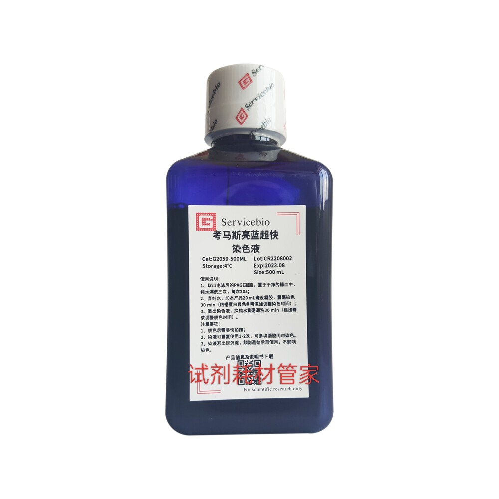 考马斯亮蓝超快染色液 考马斯亮蓝G250 用于SDS-PAGE/WB/PAGE染色