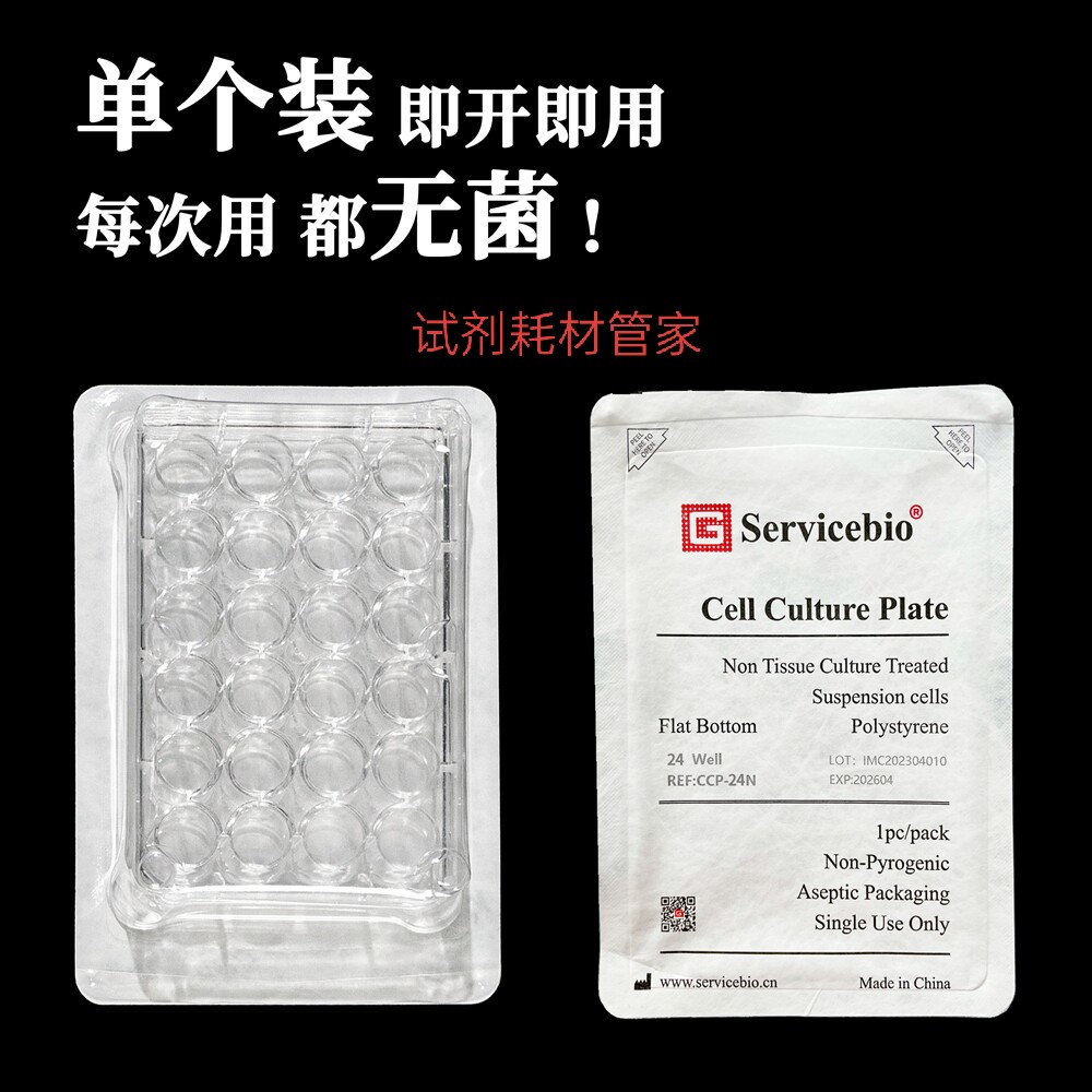 细胞培养板（24孔板，未TC处理，单片装）无菌用于悬浮细胞的培养