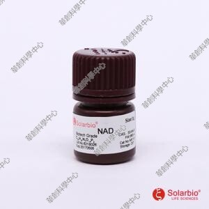 氧化型辅酶Ⅰ，NAD，&beta;-烟酰胺腺嘌呤二核苷酸，二磷酸吡啶核苷酸
