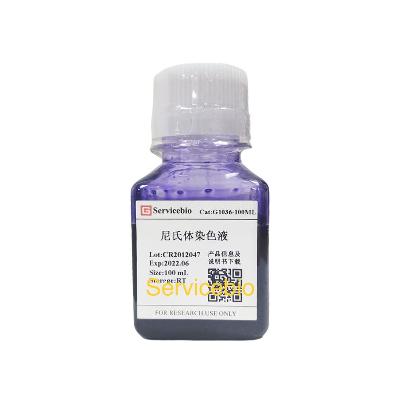 Servicebio神经组织染液 尼氏染液 脑/脊髓的结构 神经细胞尼氏体