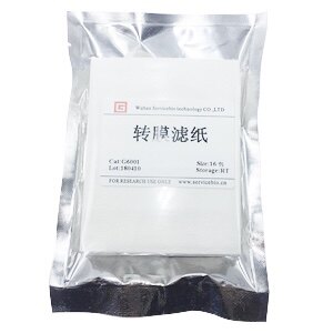 Servicebio 转膜滤纸7&times;9cm厚/薄 用于Western/Northern/Southern