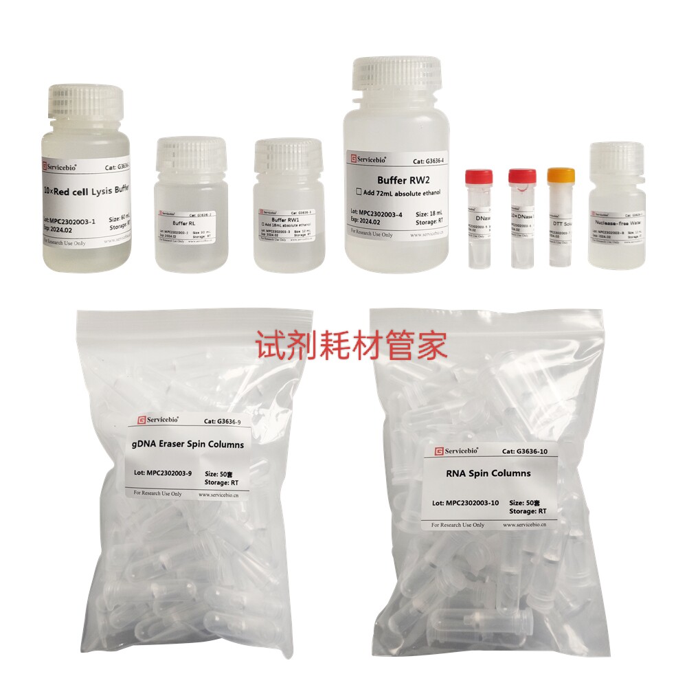 血液总RNA提取试剂盒 从全血提取高纯度RNA 安全无毒不含苯酚氯仿