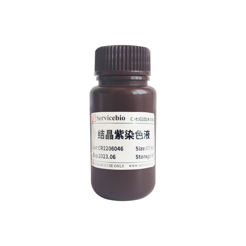 Servicebio核酸染液 结晶紫染色液 用于观察细菌,细胞,染色质形态