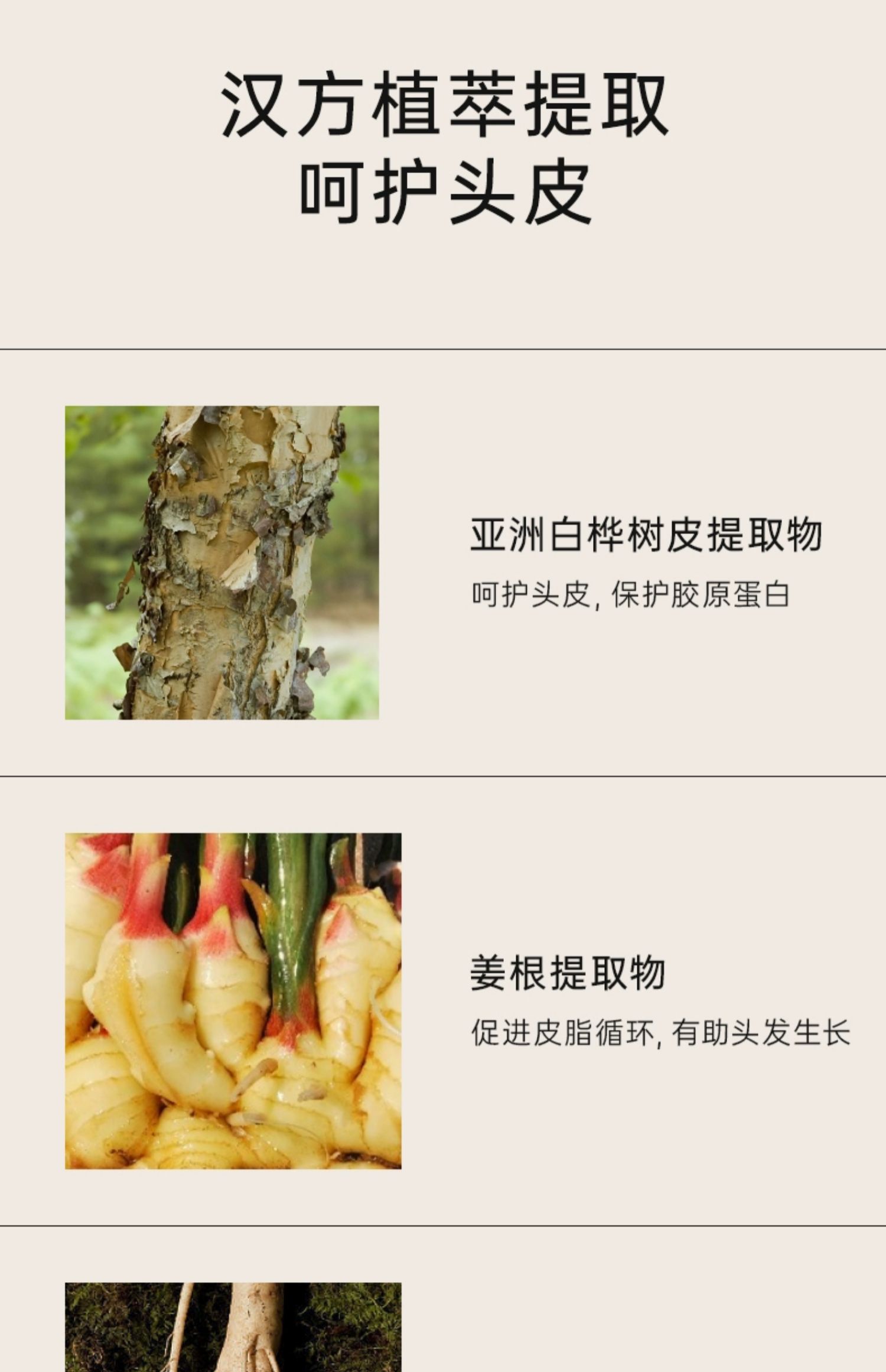 【中国直邮】FOREVER·KEY  发际线泥  发际线粉填充神器防水防汗发缝遮盖粉   4g   03冷棕色