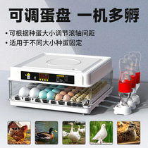 Fully automatic smart incubator Hatching Egg box Small Home Type Chicken Duck Goose Pigeon Hyun Cockatoo Parrot Ludin