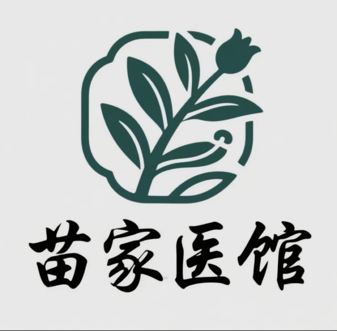 苗家医馆 航 舰 店的LOGO