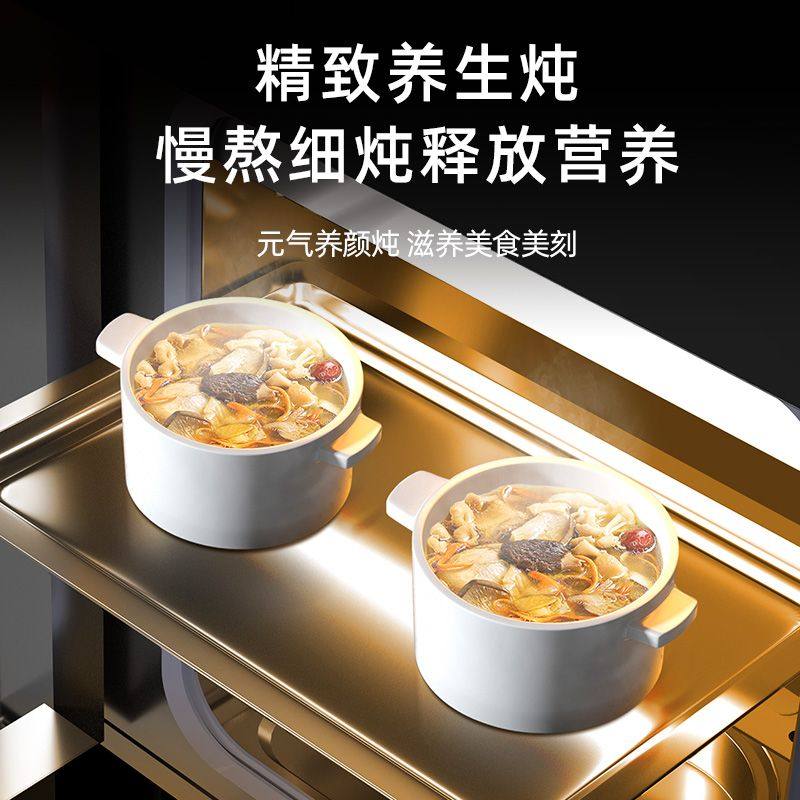 Marsman Ya Time Integrated Stove with Built-In Disinfection Cabinet, Integrated Stove Top and Cabinet, Kitchen Range Hood