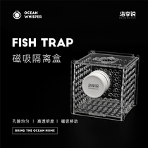 Haixiangshuo fish tank magnetic isolation box acrylic incubator seawater fish tank breeding box protects small fish seedlings