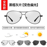 Двухцепонизируя днем ​​и ночью [Цвет -изменчивая модель] Поляризатор цвета цветовой рамки.