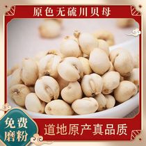 Sélectionné 100g authentique qualité spéciale de Kawai baihuan peut être libre en poudre Sichuan Aba Chuan Be toux poumon couleur primitive sans soufre