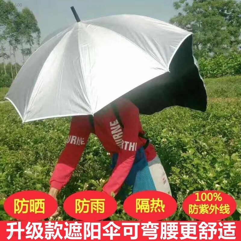 Tea back umbrella capable of back-type Tea Umbrella Back Special Umbrella God can be back with an umbrella to pick up tea on the back of the body