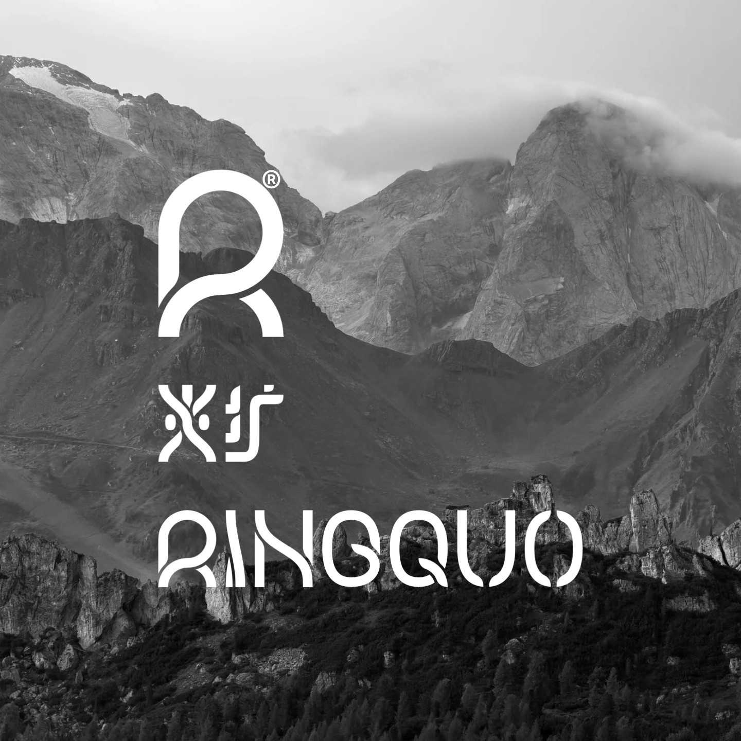 RINGQUO 灵扩 品牌店的LOGO
