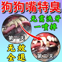Dog tartar dissolving tartar quick-acting remover softener mouth deodorant pet cat and dog spray