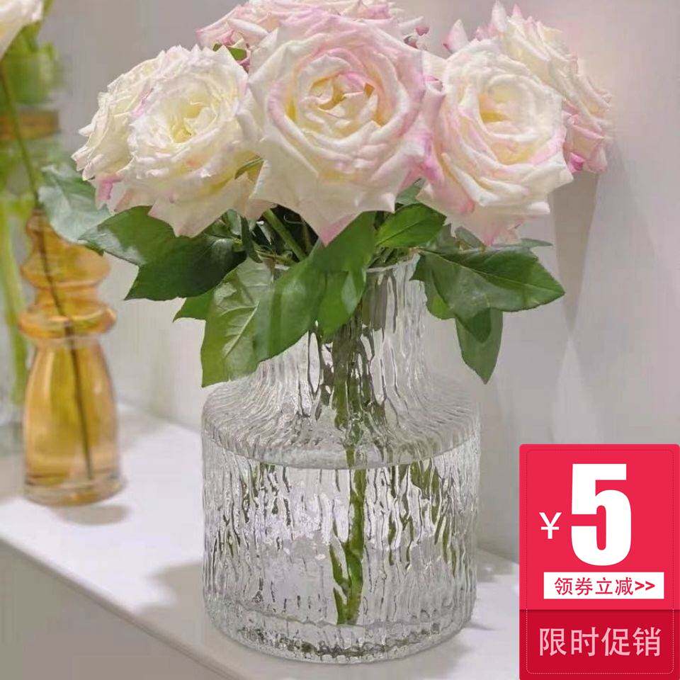 Lily living room glass vase 2021 new Nordic large wide-mouth transparent glacier net red vase high-quality