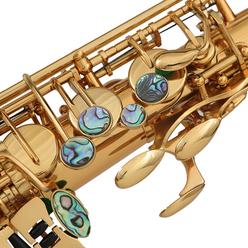 Bublonist Saxophone Tub