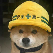 Safety First Dog Safety Hat Pet Corgi Labrador Shiba Inu Cute Clothes Cute Funny Photo Check-in