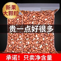 2023 Northeastern Red Pine Nuts New Years Extra Large Particles New Bulk 500g Hand Peeled Large Opening Nut Snacks for Pregnant Women