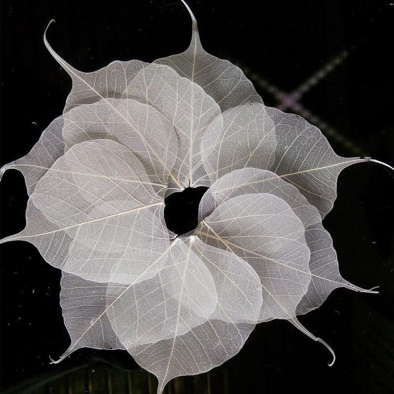 Bodhi leaf vein tea strainer Creative Bodhi leaf decorative painting Leaf vein bookmark Leaf specimen Bodhi leaf vein diy