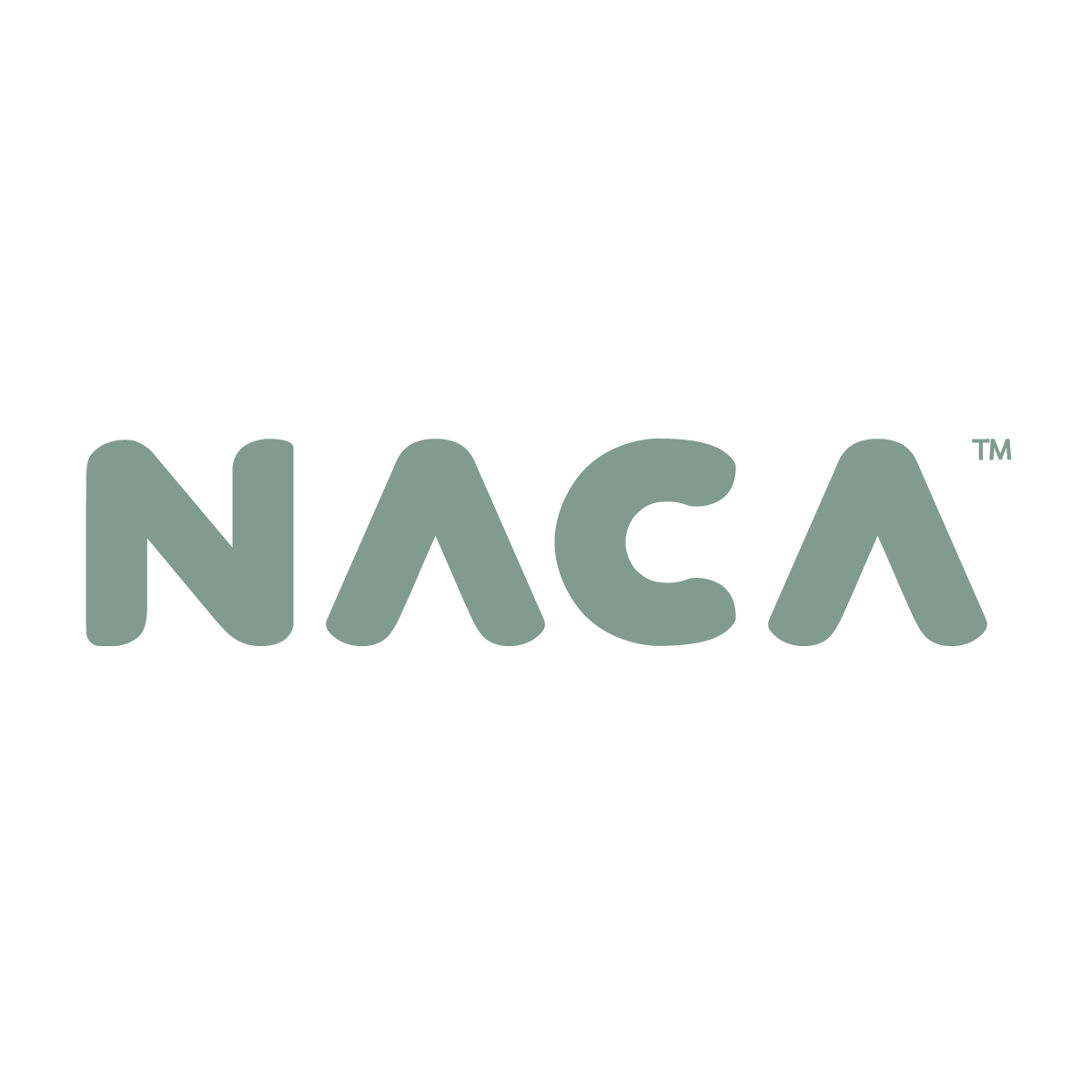 NACA企业店的LOGO