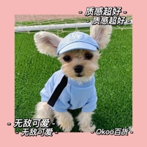 Yorkshire special hat with exposed ears for small dogs duck tongue baseball cap sun protection visor small dog headwear