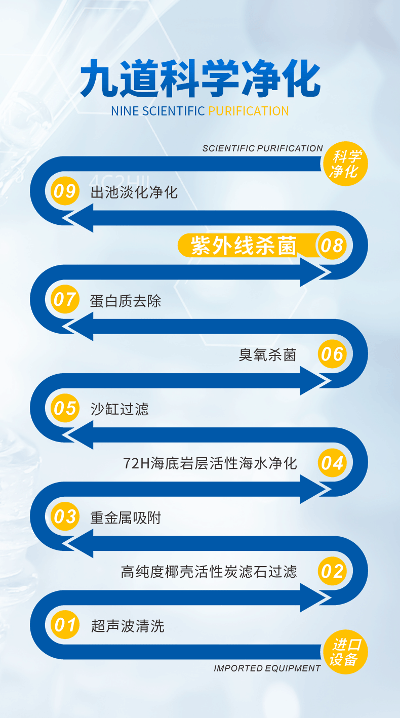 巴美亚 刺身生蚝 12粒装+加赠3粒 约3斤 礼盒装 图2