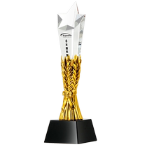 Trophies customized crystal resin company annual meeting awards high-end creative gold silver and bronze medals custom-engraved souvenirs