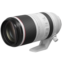 Canon RF 100-500mm f 4 5-7 1 L IS USM telephoto mirrorless camera lens