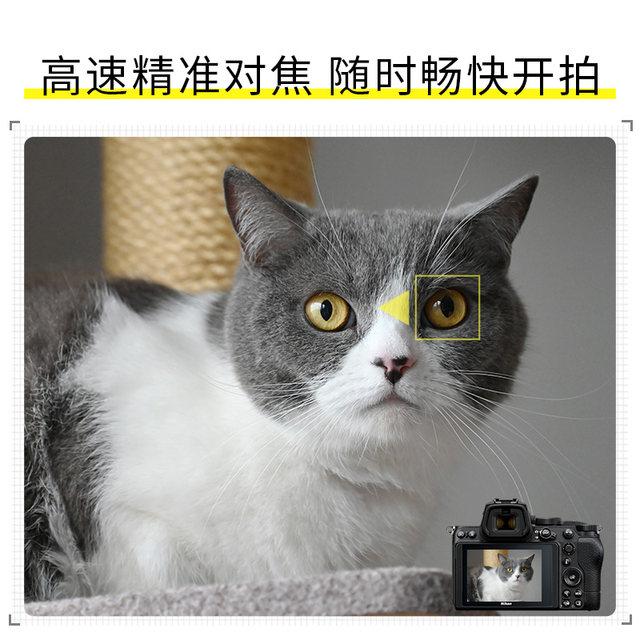 Nikon Z5 full-frame mirrorless camera home/travel camera