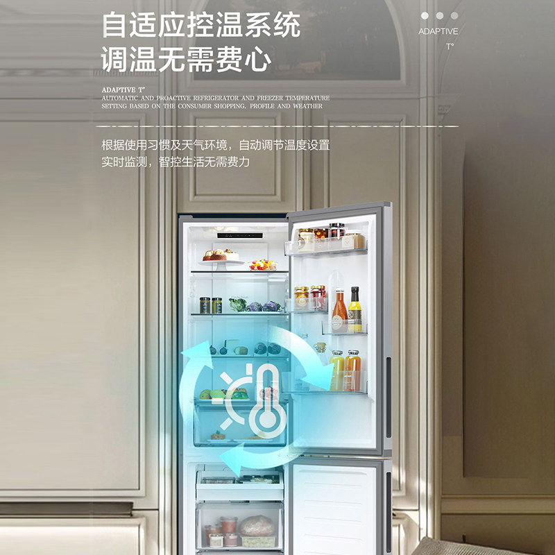 海尔BCD-285WGHC2DEXM冰箱图片