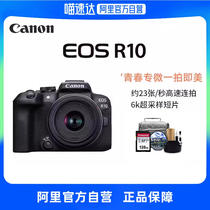 (Ali self - owned) Canon R10 micro camera vlog digital HD tourism live entry level 4K