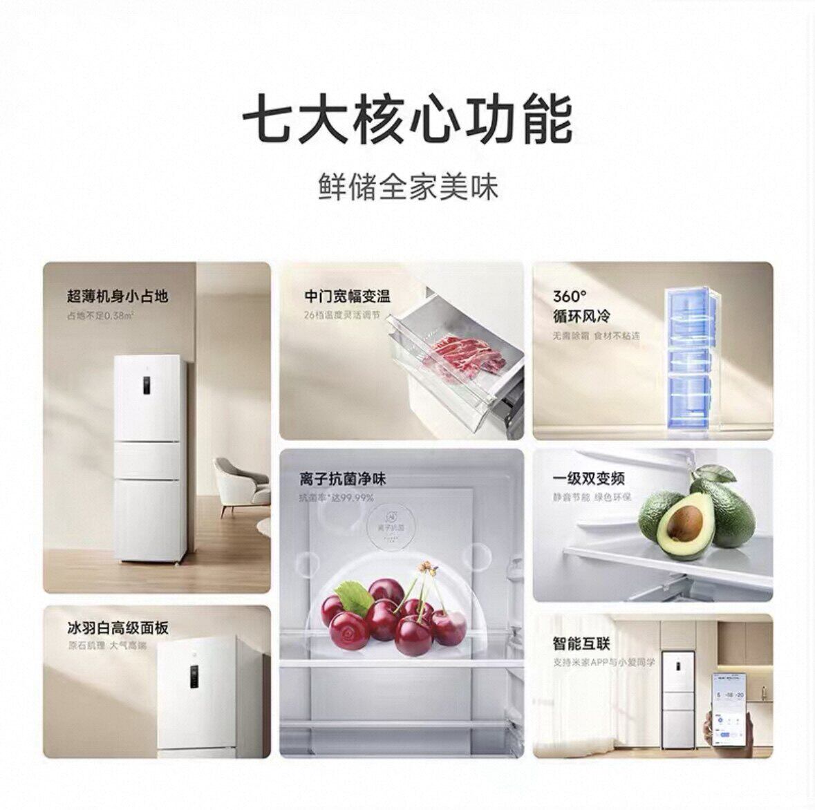 米家BCD-256WMSA01冰箱图片