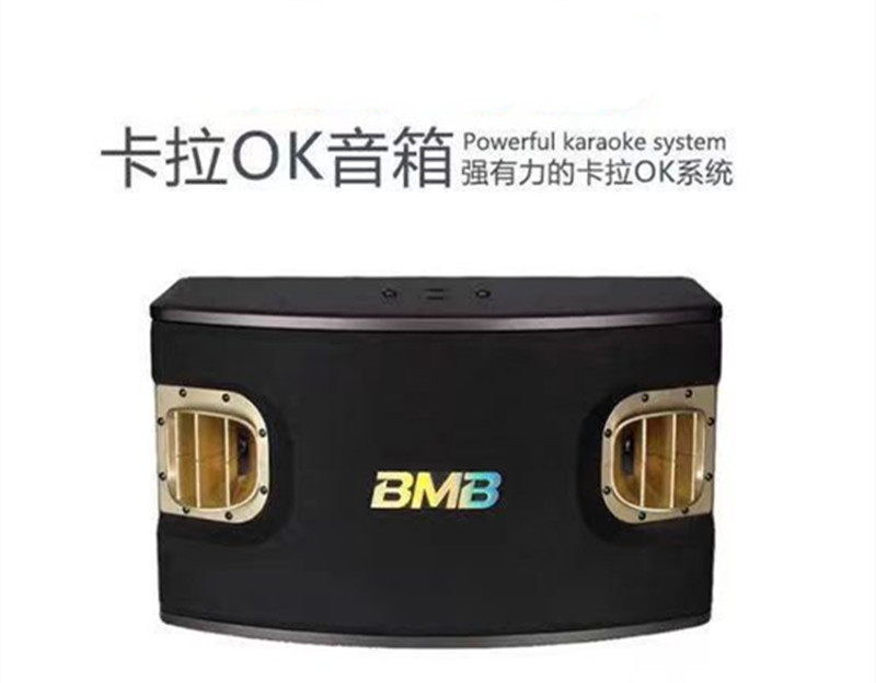 BMB CSV-450 900 Professional KTV Sound Family Conference Dance Room Karaoke Home Card Bag Speaker-Taobao