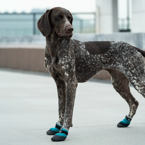 Jian Bo Yi Chong pod обувь для собак Greyhound Corgi на мягкой подошве, водонепроницаемая, не падает, легко носить и играть на снегу