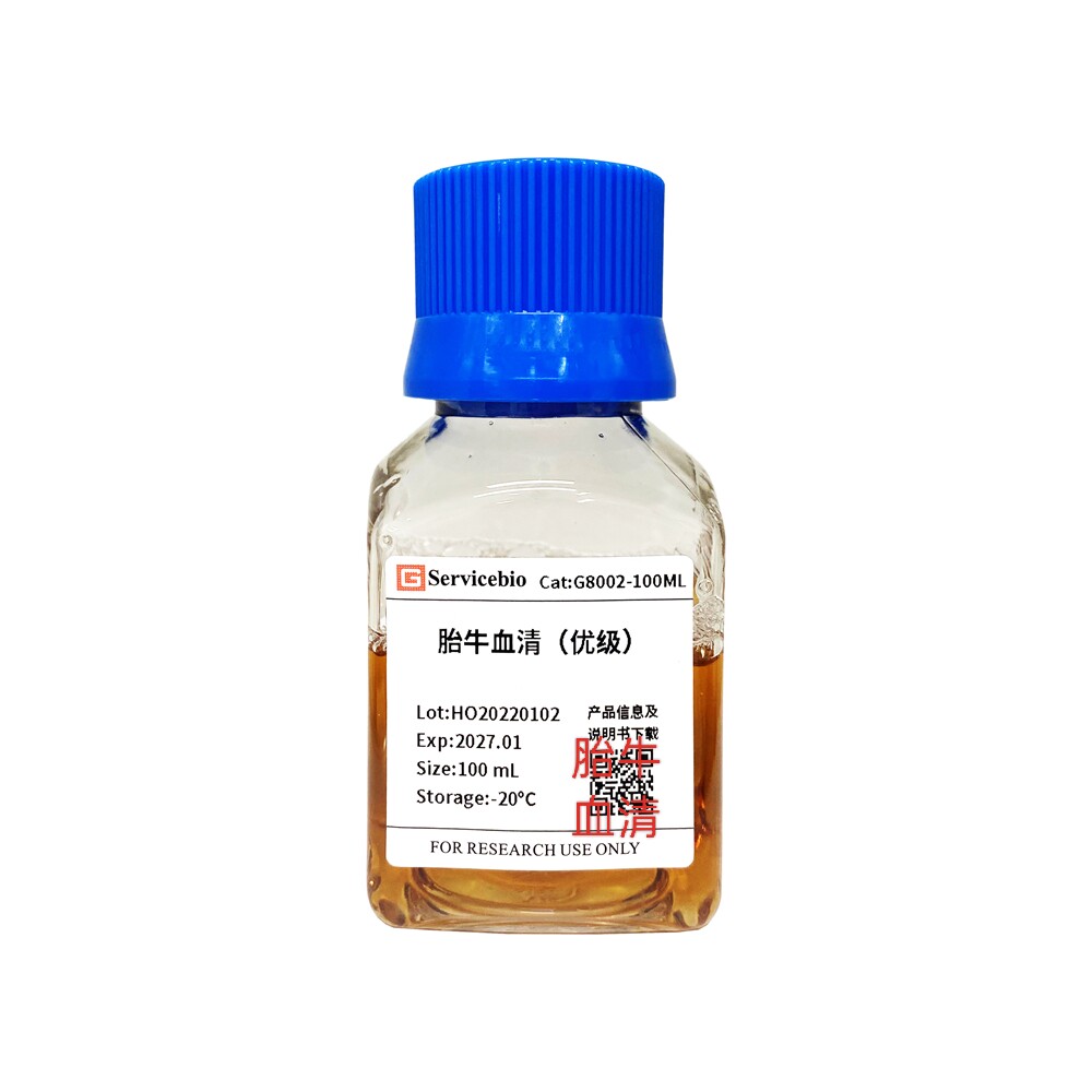 Servicebio胎牛血清（优级）100ML 500ML 用于动物细胞的体外培养