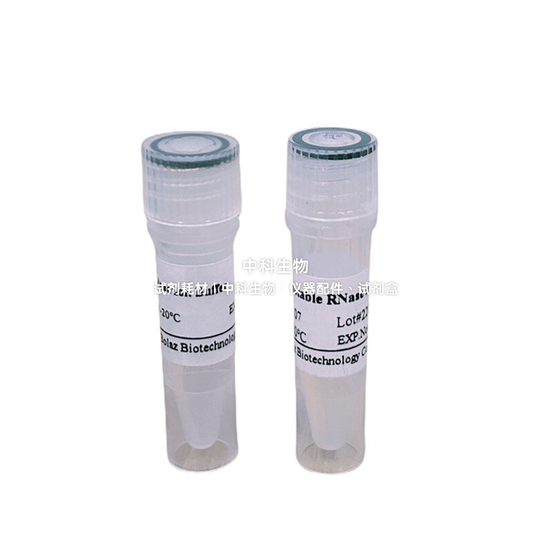 BOLAZ热稳定Rnase H可在高温下特异性降解RNA/DNA杂交链中的RNA链
