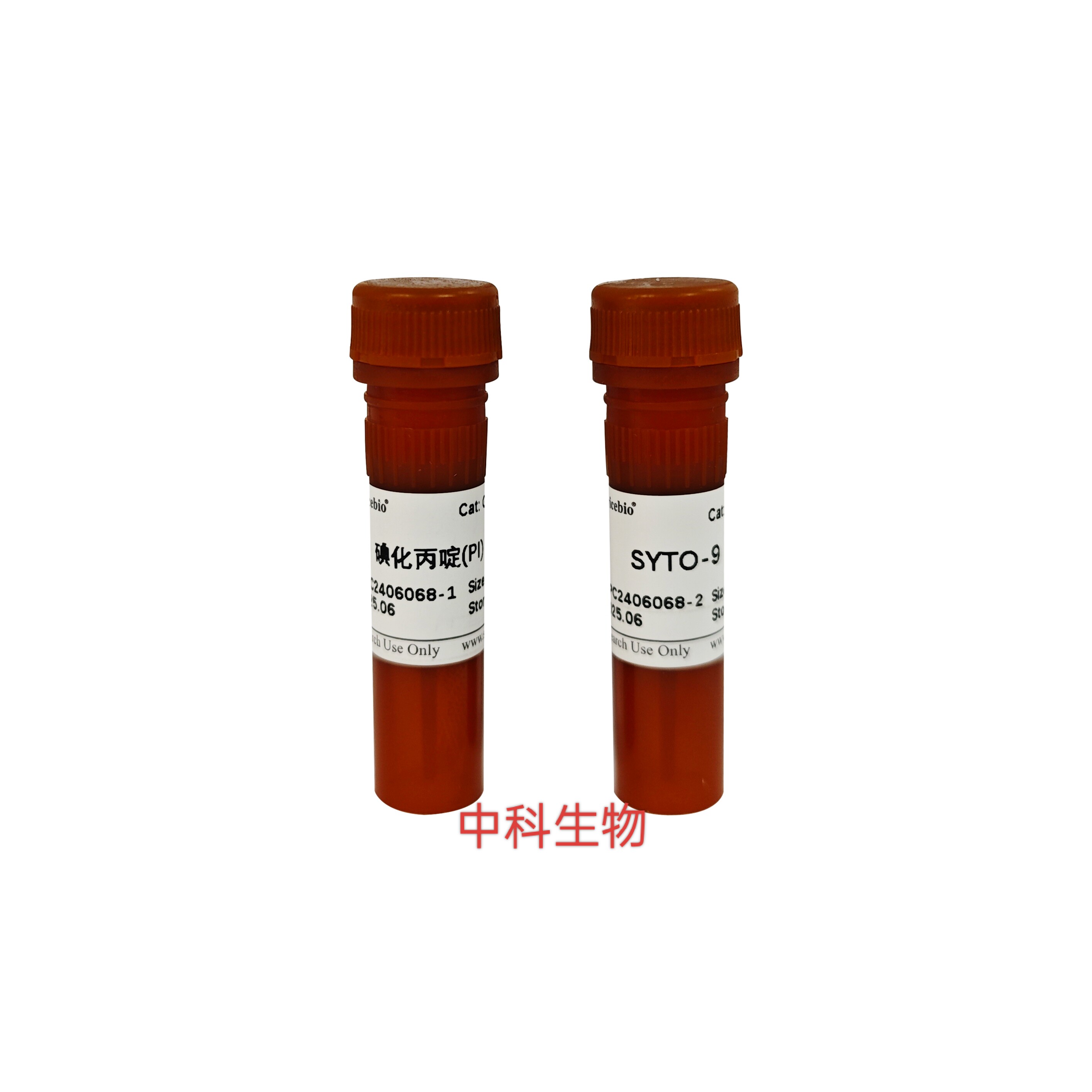 细菌/酵母活力染色试剂盒（SYTO-9/PI荧光法）适用革兰氏菌酵母菌