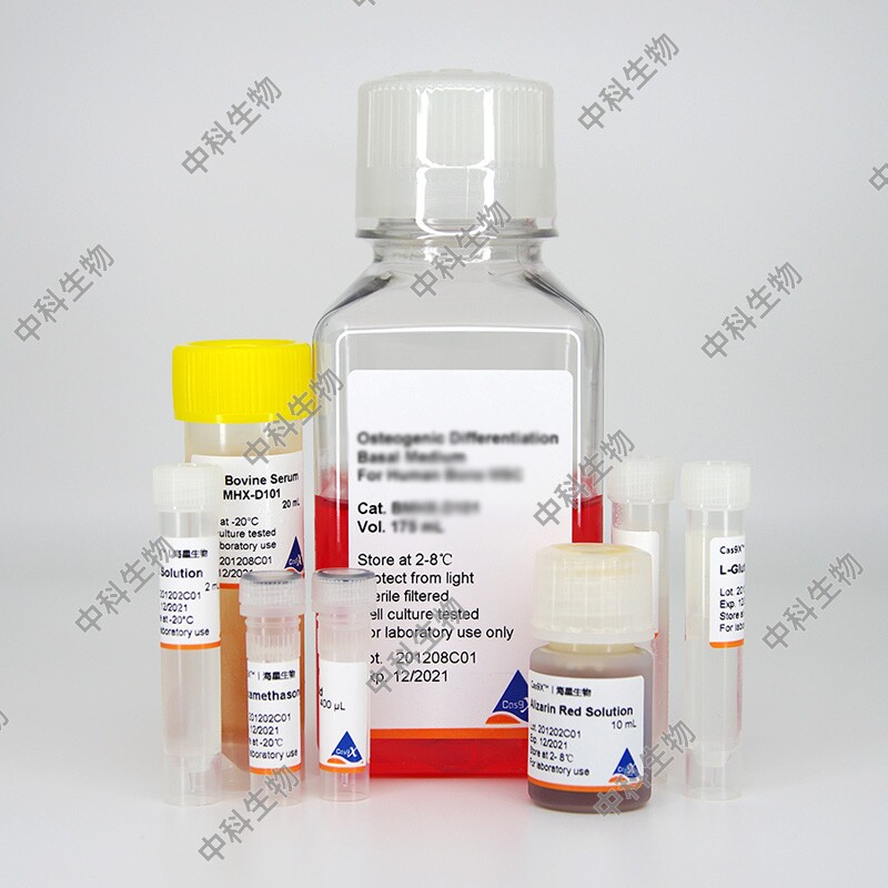 HyCyte?小鼠/大鼠/兔/羊肺动脉内皮细胞，人肺动脉内皮细胞HPAEC