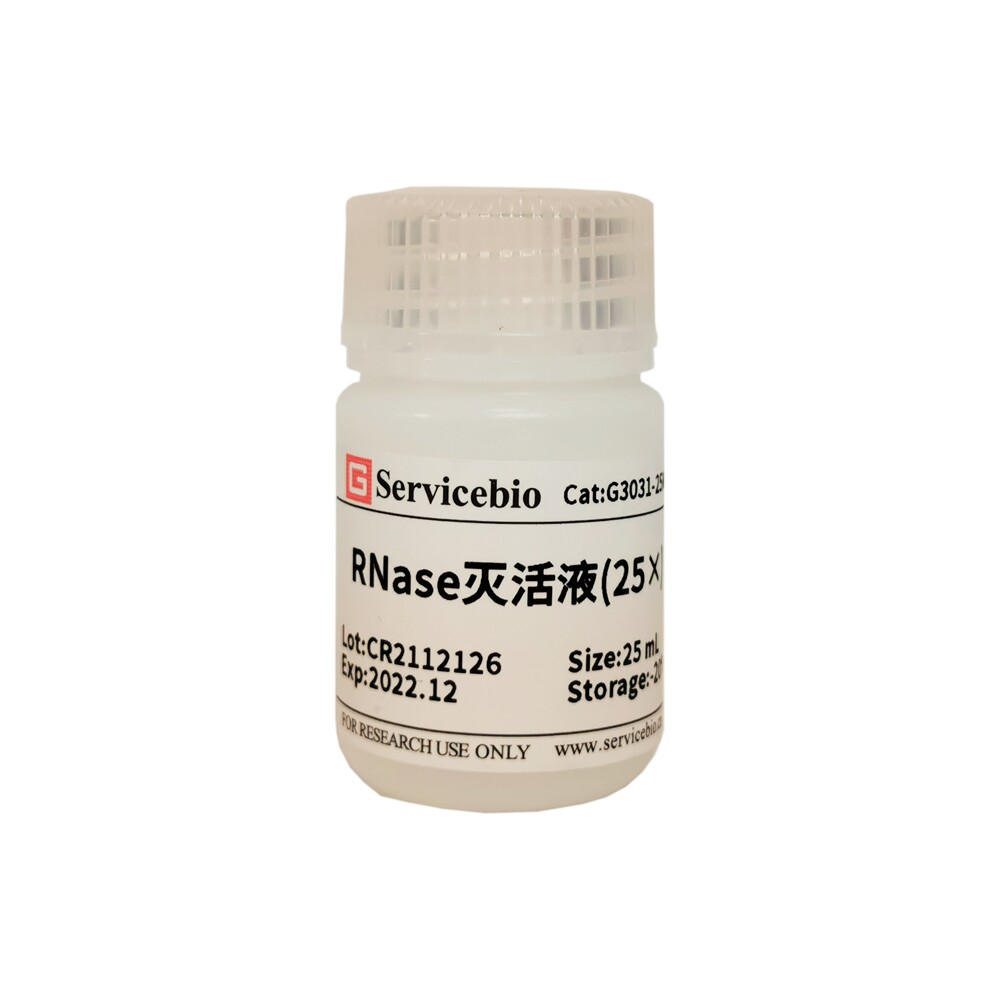 Servicebio RNase灭活液(25&times;)用于RNA相关实验容器耗材去除RNase