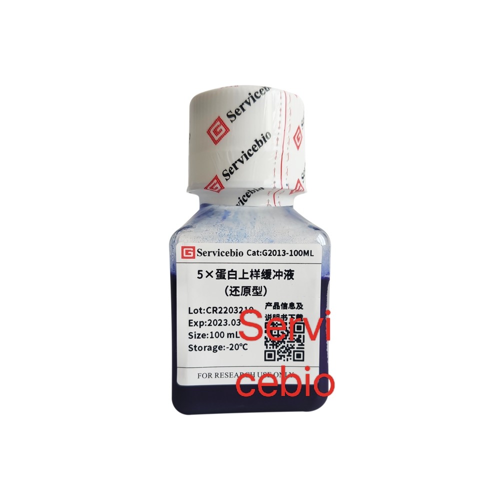 Servicebio 5&times;蛋白上样缓冲液（还原型）G2013-100ML,100mL(5&times;)